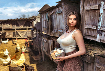 Work, chickens, cowgirls, barn, brunettes, ranch HD wallpaper