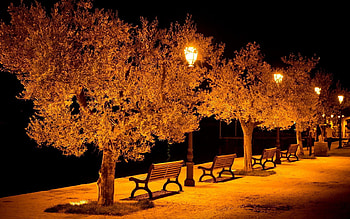 Cities, City, Shine, Light, Park, Evening, Bench, Street, Benches HD wallpaper