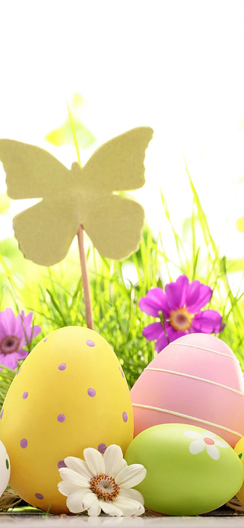 Easter , Festive background, Spring celebration, Personalized design HD phone wallpaper