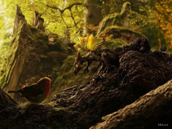 The Bird & the Dragon, dragon, trees, bird, forest HD wallpaper