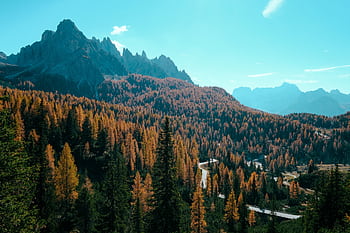 Breathtaking autumn landscape featuring colorful forest and distant mountains. HD wallpaper
