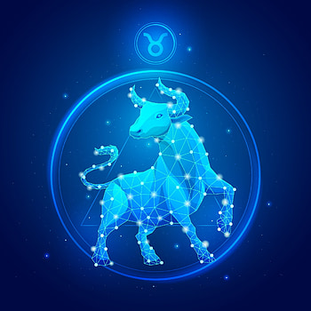 Taurus Zodiac Sign, Vector art, Icons HD phone wallpaper