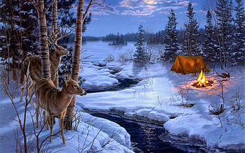 winter snow animals deer | | 36751 | UP . HD wallpaper