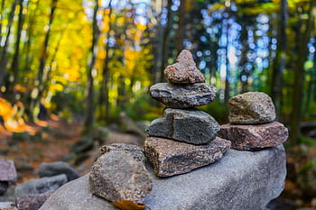 A serene forest scene with balanced stone stacks and fall foliage. HD wallpaper