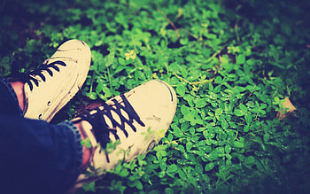 Grass, Miscellanea, Miscellaneous, Legs, Footwear, Laces, Shoelaces HD wallpaper