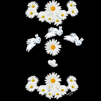 Spring, art, flowers, Bunny's, daisy's HD phone wallpaper