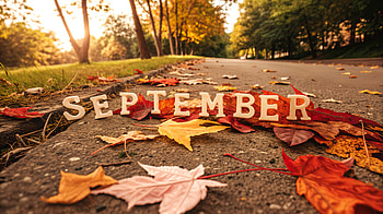 September Stroll — Autumn Leaves, September, Autumn, leaf HD wallpaper