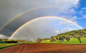 Rainbow in Germany, orchard, Germany, rainbow, field HD wallpaper