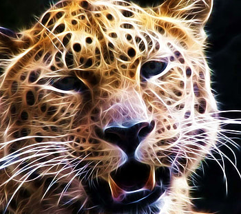 A biggggg... cat, leopard, life, cat, beautiful, wild HD wallpaper