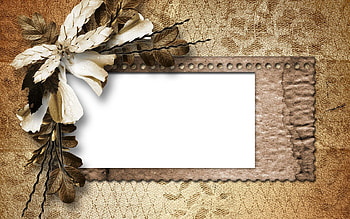 Miscellanea, Miscellaneous, Petals, Vintage, Retro, Paper, Dried Flower HD wallpaper