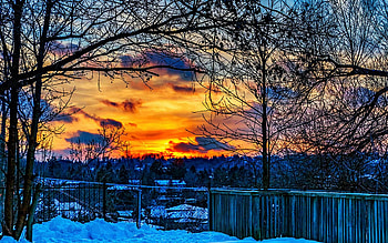 Winter Dreams - Bolton, Ontario, snow, trees, colors, landscape, clouds, sky, usa, sunset HD wallpaper
