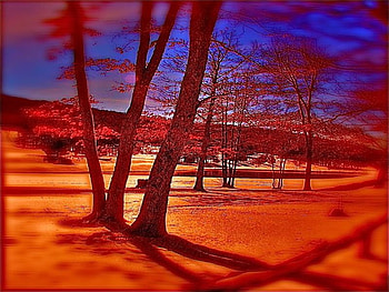 BEAUTIFUL NATURE, blue, brown, red, colors, orange HD wallpaper