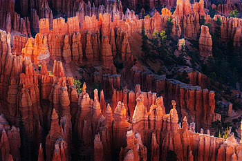 Canyon, USA, Nature, Rocks, Light HD wallpaper