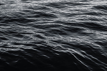 Nature, Water, Surface, Bw, Chb HD wallpaper