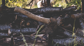 Miscellanea, Miscellaneous, Firewood, Logs, Ax, Axe HD wallpaper