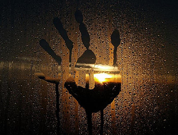 Let me In, print, rain, moonlight, glow, hand HD wallpaper