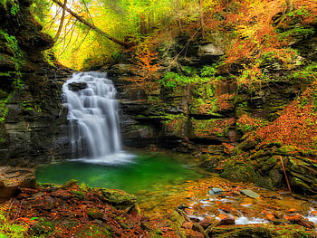 Small forest waterfall, colors, peaceful, beautiful, small, leaves, emerald, waterfall, water, forest HD wallpaper