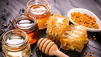 Honey elegance, Beautiful , Sweet and golden, Nature's beauty HD wallpaper