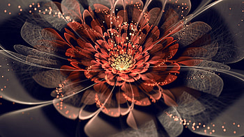 Abstract, Background, Flower, Lines, Shadow HD wallpaper