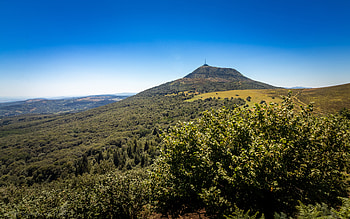Nature, Trees, Mountains, Bush, Hill HD wallpaper