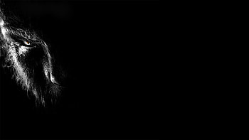 The Wolfman dark werewolf, , Dark visuals, Gothic atmosphere HD wallpaper