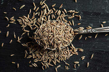 Kreuzkmmel spice, Weight loss remedy, Health boosting, Exotic flavor HD wallpaper