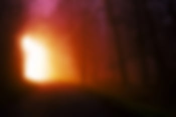 A vivid, abstract blurred of a forest with warm glowing light, evoking mystery. HD wallpaper