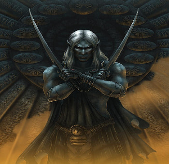 Dark Elf Warrior, fighter, drow, swords, dark skin HD wallpaper