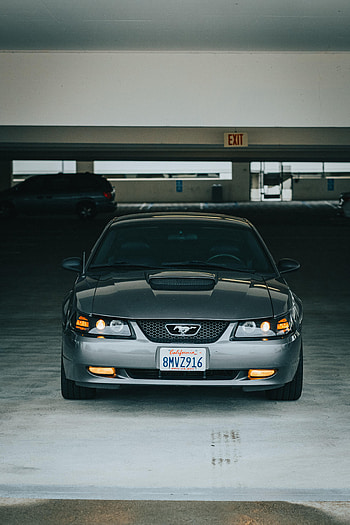 Mustang, Cars, Car, Front View, Machine HD phone wallpaper