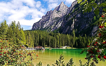 Lake, Nature, Forest, Mountain HD wallpaper