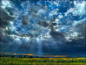 Breaking, blue, rays, grey, sunflowers, field, sky, storm clouds HD wallpaper