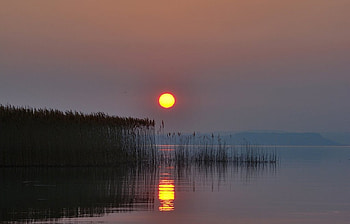 monthly reflection, nature, , reflection, moonlight HD wallpaper