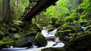 Ravenna Gorge, Black Forest, Germany, bridge, trees, creek, rocks, stones HD wallpaper
