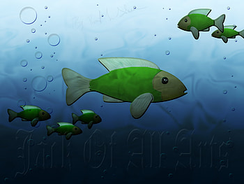fishy, fish, bubbles, hopped, hop HD wallpaper