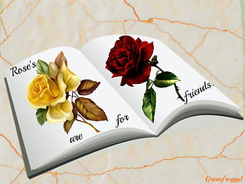 ROSE'S ARE FOR FRIENDS., ART, ROSES, CREATION, FRIENDS HD wallpaper