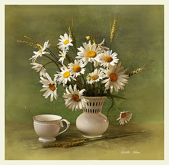 still life, bouquet, gentle, graphy, daisies, beauty, nice, flower, , white, elegantly, vase, beautiful, cup, pretty, wheat, cool, flowers, lovely, harmony HD wallpaper