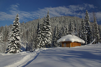 winter, graphy, house, landscape, villa, beautiful, nice, mountain, snow, cool, trees, forest HD wallpaper