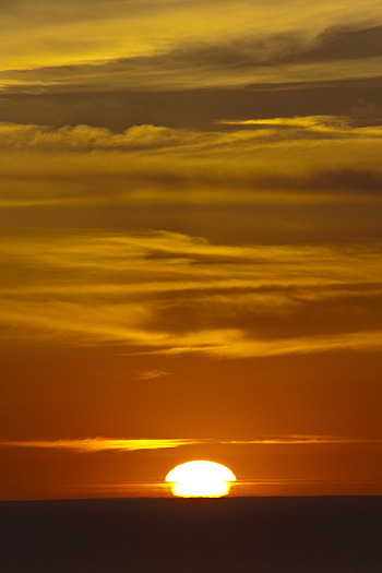 Nature, Sunset, Sky, Sun, Horizon HD phone wallpaper