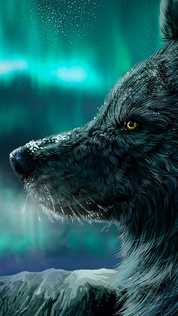 Northern lights wolf, Aurora borealis backdrop, Celestial beauty, Nature's spectacle HD phone wallpaper
