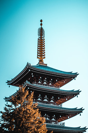 Cities, Architecture, Building, Wood, Tree, Pagoda HD phone wallpaper
