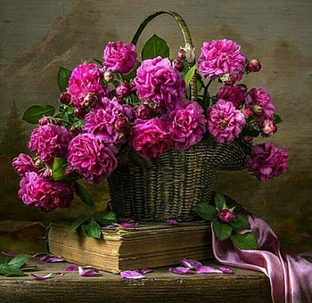 Still life with roses, Roses, Basket, Book, Art HD wallpaper