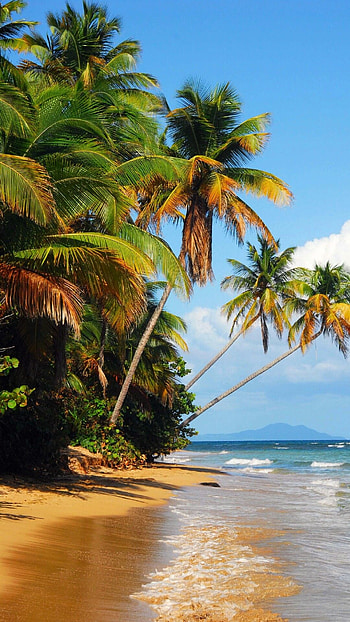 San Andres Island, Colombian gem, Stunning landscapes, Beautiful beaches HD phone wallpaper
