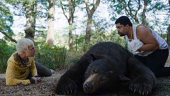 Cocaine Bear - Wilderness Encounter Scene, movie, Cocaine Bear HD wallpaper