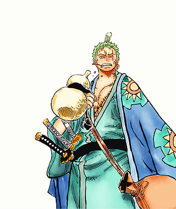Zoro, Anime, One Piece, Manga HD phone wallpaper