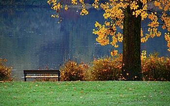 Landscape, Autumn HD wallpaper