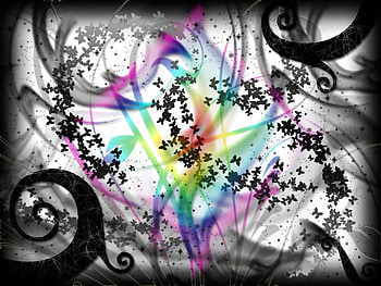 butterflies rainbow, butterflies, white, black, color, vector HD wallpaper