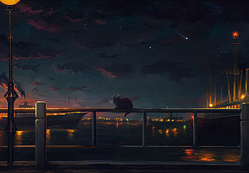 Anime, Night, Cat HD wallpaper