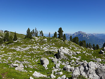 Landscape, Nature, Trees, Stones, Mountains HD wallpaper