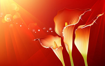 Flowers, Patterns, Vector, Shine, Bud, Brilliance HD wallpaper