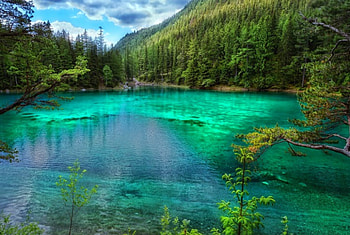 Gruner See, Austria, trees, green waters, beautiful, mountains, forest, lake HD wallpaper